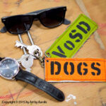 ArtByAarohi-vosd-dogtags2