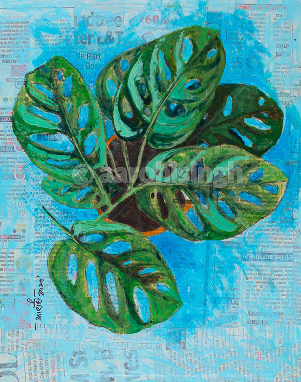Monstera Leaves 2