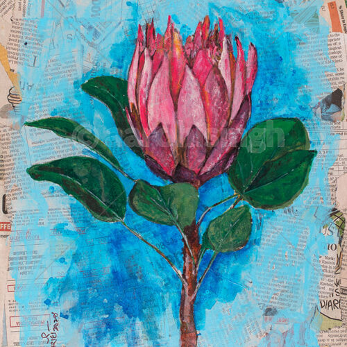 artbyaarohi-prints-10x13.5-botanical-3 Protea 1