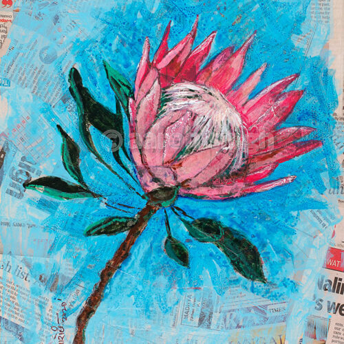 artbyaarohi-prints-10x13.5-botanical-4 Protea 2