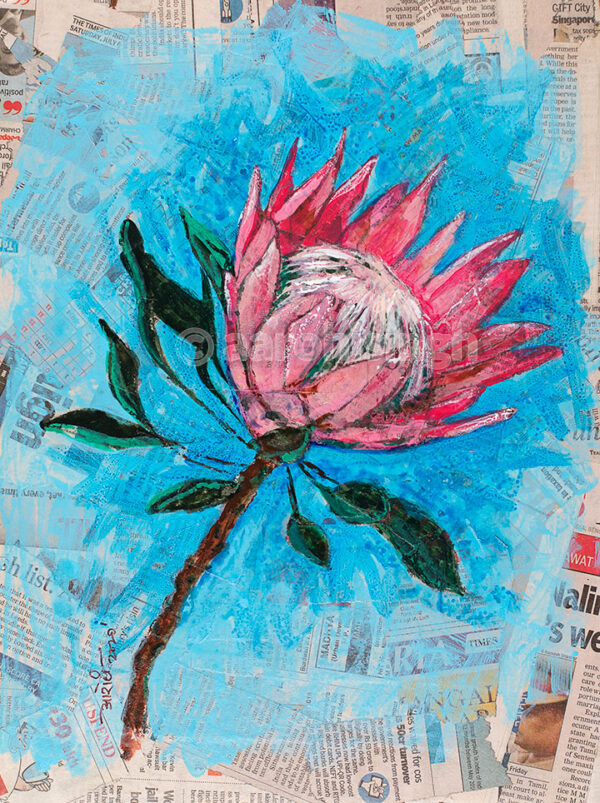 Protea 2