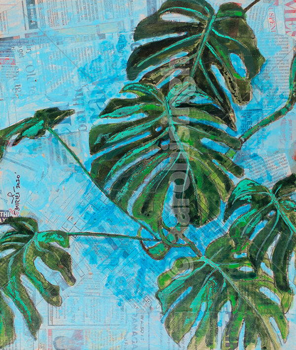 Monstera Leaves 1