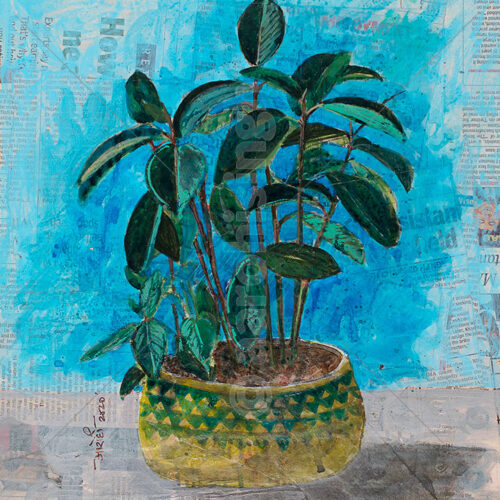 artbyaarohi-prints-12x14-botanical-2 Rubber Plant