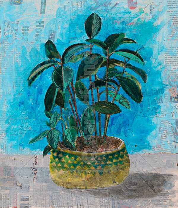 Rubber Plant