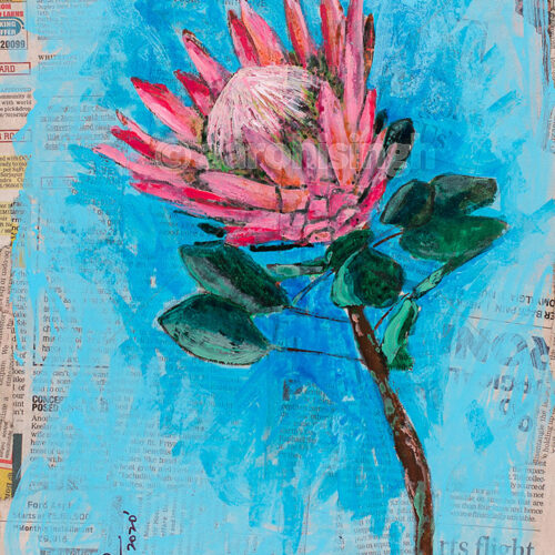 artbyaarohi-prints-9x13-botanical-7 Protea 3