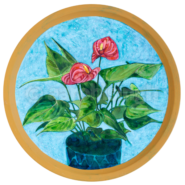Anthurium