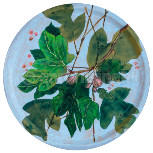 Fig leaf