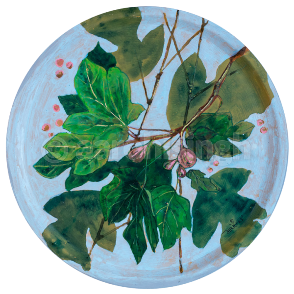 Fig leaf