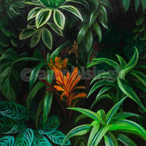 Foliage 01