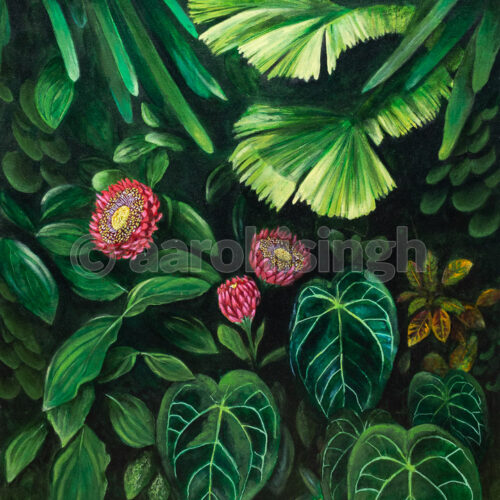 Foliage 02