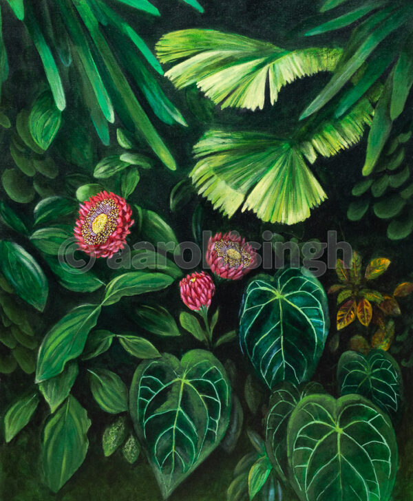 Foliage 02