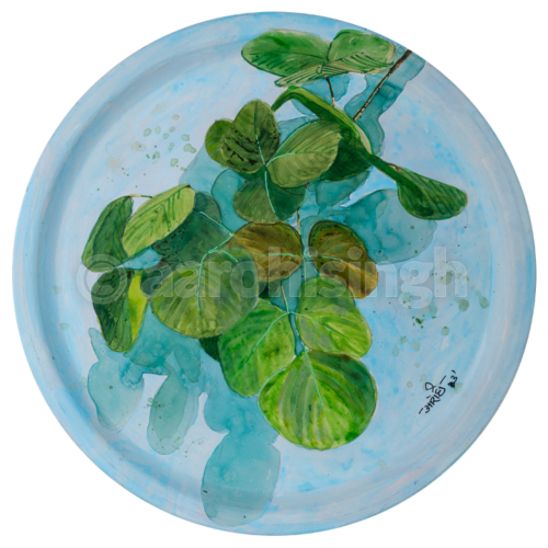 Foliage 03
