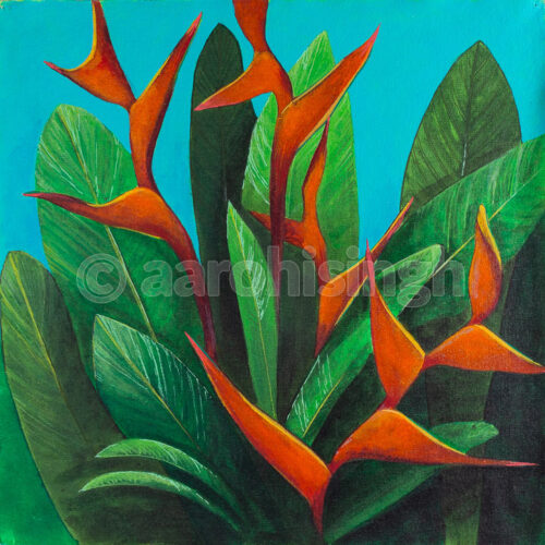 Heliconia 02