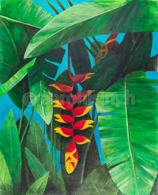 Heliconia 03