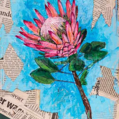 artbyaarohi-protea-02 Protea 02