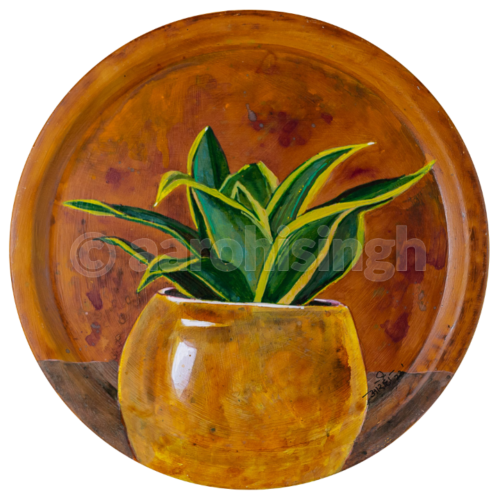 artbyaarohi-snake-plant Snake Plant