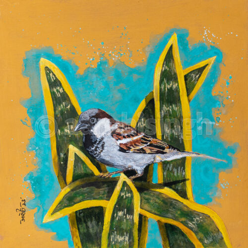 artbyaarohi-sparrow-03 Sparrow 03