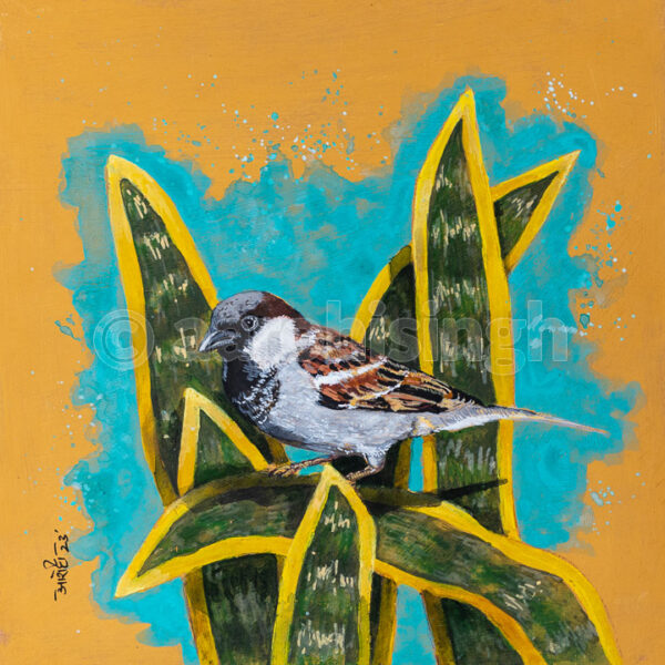 Sparrow 03