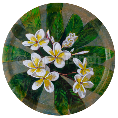 artbyaarohi-white-champa-02 White Champa 02