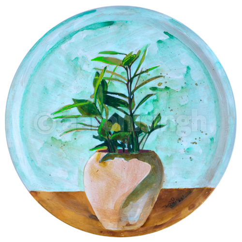 artbyaarohi-zz-plant ZZ Plant